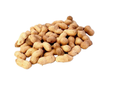 Amendoim Torrado c/ Casca Jumbo